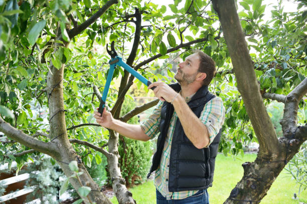 Best Tree Trimming Near Me  in State College, PA